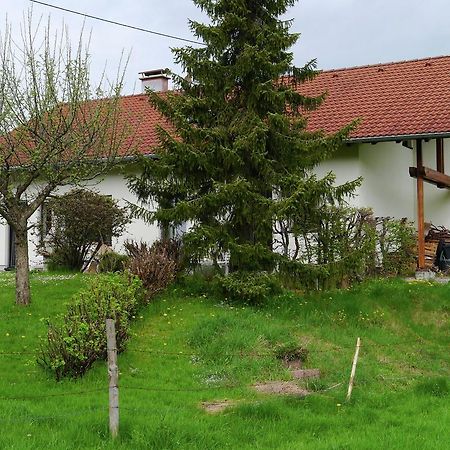 Cosy Apartment In Allg U With Garden Ой-Міттельберґ Екстер'єр фото